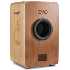 تصویر کاخن Schlagwerk مدل CP5901 