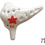 تصویر اکارینا آلتو مهیاریک مدل Ac108 108