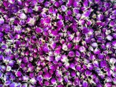 تصویر غنچه گل محمدی ۱ کیلوگرم 