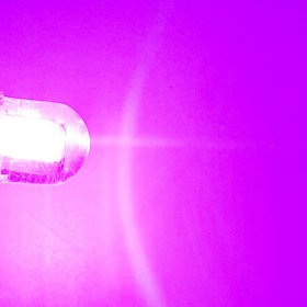 تصویر لامپ پلاک خودرو ژله ای 