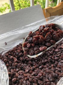 تصویر مویز قرمز تپل 