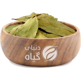 تصویر برگ بو 