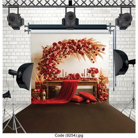 تصویر بکدراپ عکاسی Code (9254) 