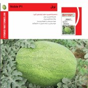 تصویر بذر هندوانه نوبل ۱۰۰۰ عدد 
