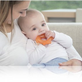 تصویر دندانگیر مایا مدل آبدار بسته ۲ عددی 