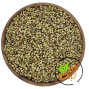 تصویر تخم گشنیز 