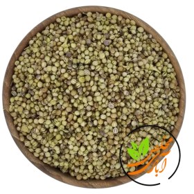 تصویر تخم گشنیز 