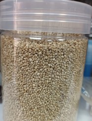 تصویر کینوا پروتئین گیاهی 