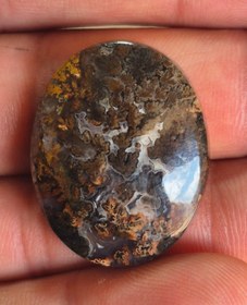 تصویر شجر مشکی سایز مدالی Shajar paize