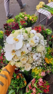 تصویر فروشگاه گل و گیاه فلوریکا