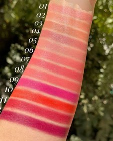 تصویر لیپ پلامپر دراگون - 10 