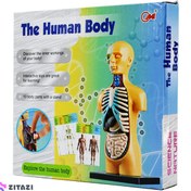 تصویر بازی آموزشی طرح مولاژ آناتومی بدن مدل The Human Body 3305 