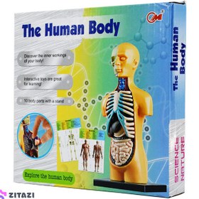 تصویر بازی آموزشی طرح مولاژ آناتومی بدن مدل The Human Body 3305 