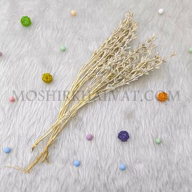 تصویر گل خشک مدل برنجی سفید 