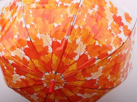 تصویر چتر طرح برگ پاییزی 