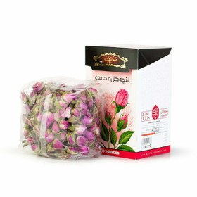 تصویر غنچه گل محمدی مجتهدی 