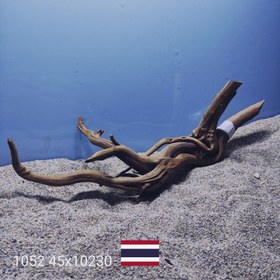 تصویر ریشه آبنوس کد1052 ارسال این ریشه رایگان می باشد