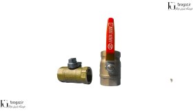 تصویر شیر گازی امین 