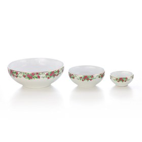 تصویر سرویس چینی زرین 6 نفره پیاله بیدگل (13 پارچه) Zarin Iran ItaliaF Bidgol 13 Pieces Porcelain Bowl Set