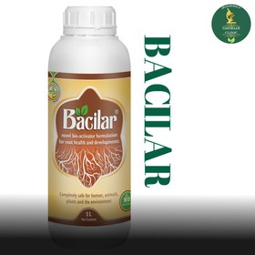 تصویر باسیلار 