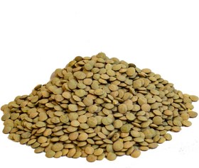 تصویر عدس روسی - 1 کیلو russian green Lentil