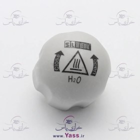 تصویر درب اتو بخار سیلتر مدل SILTER01 
