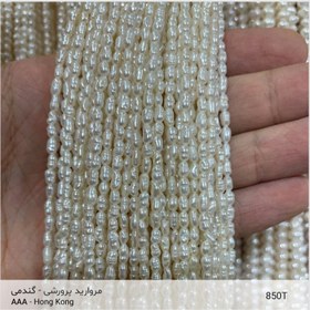 تصویر مروارید پرورشی گندمی 