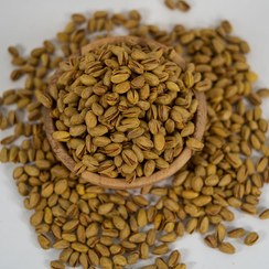 تصویر پسته اکبری شور کرده زعفرانی | درجه یک 