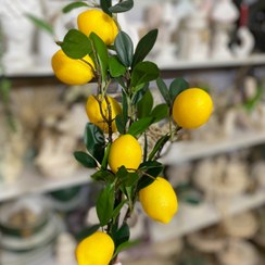 تصویر شاخه لیمو دکوراتیو ۷ عددی 