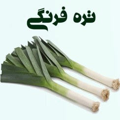 تصویر تره فرنگی لینکلن 