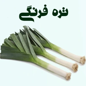 تصویر فروشگاه باغبان ارگانیک