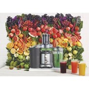 تصویر آبمیوه‌گیر تک کاره SAGE 430 