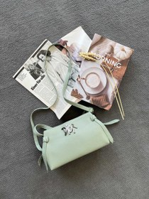 تصویر کیف دیور 