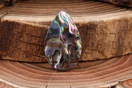 تصویر نگین اشکی صدف آبالون 