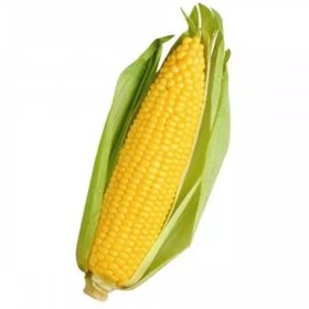 تصویر میوه بلال مکزیکی 