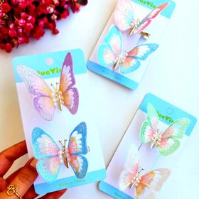 تصویر گلسر پروانه بزرگ 