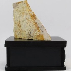 تصویر سنگ شجر فسیلی (دندریتی ) کد 2358 