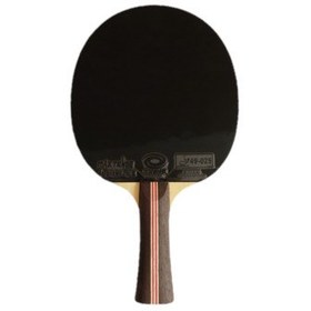 تصویر راکت یینهه گلکسی 03B به همراه کیف Yinhe Table Tennis Bat Model Galaxy 03B