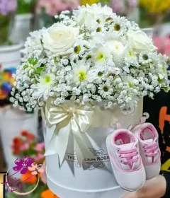 تصویر باکس گل نوزاد داوودی 