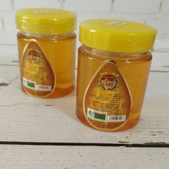 تصویر عسل چند گیاه 1000گرمی پاچیل طلایی 