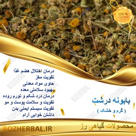 تصویر بابونه درشت (گاوی) - 1 کیلوگرمی 