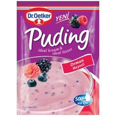 تصویر پودر پودینگ تمشک وحشی دکتر اوتکر 81 گرم DrOetker wild raspberry pudding powder 81gr