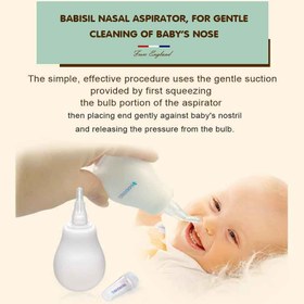 تصویر پوار بینی بیبی سیل babisil 