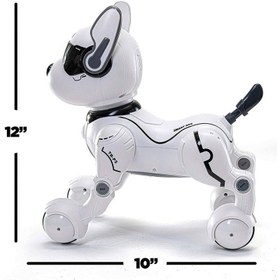 تصویر ربات کنترلی سگ 