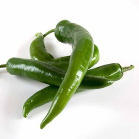 تصویر بذر فلفل قلمی 