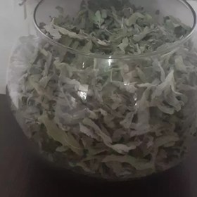 تصویر پونه ی کوهی تازه 