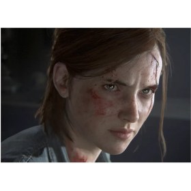 تصویر متال پوستر بازی The Last Of Us طرح شخصیت Ellie کد N202 