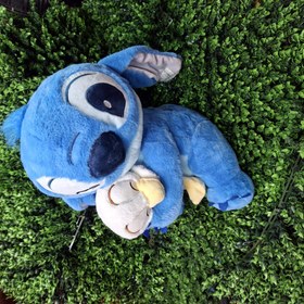 تصویر استیج اردک بغل 