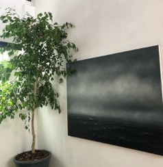 تصویر فیکوس بنجامین مناسب برای تزئین دیوارهای عمودی 