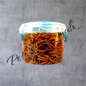 تصویر تشویقی و مکمل پرندگان کرم میلورم خشک 50 گرمی 